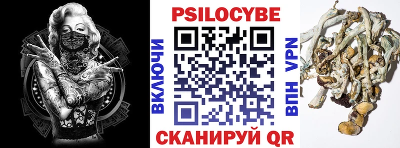 Галлюциногенные грибы прущие грибы  darknet формула  Михайлов 